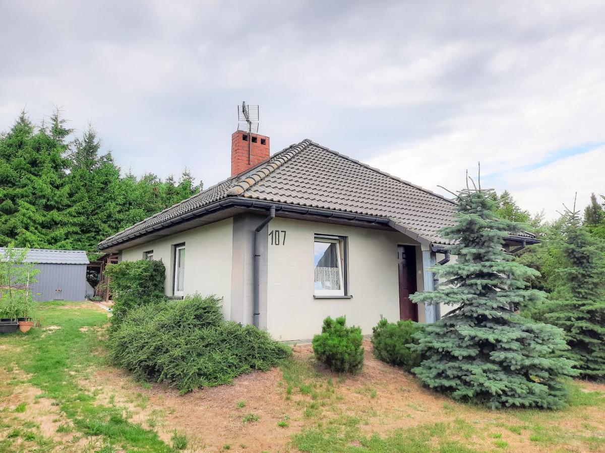 Daglezja Vip Villa Kołczewo Eksteriør billede